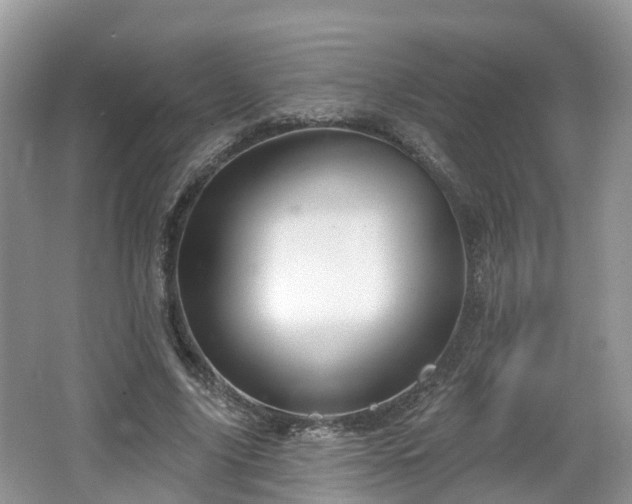 X0000064720635200602131225