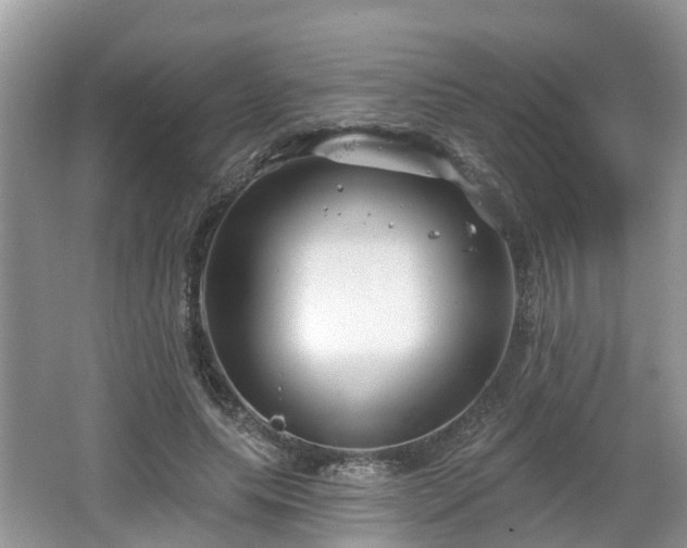 X0000064720639200602131225