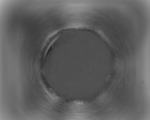 X0000064720640200602131225