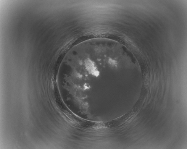 X0000064720644200602131225