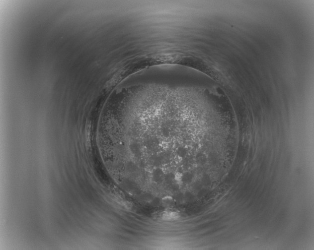 X0000064720647200602131225