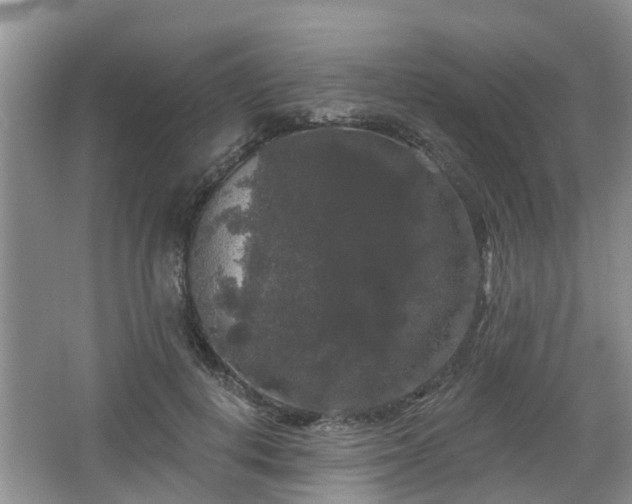 X0000064720648200602131225