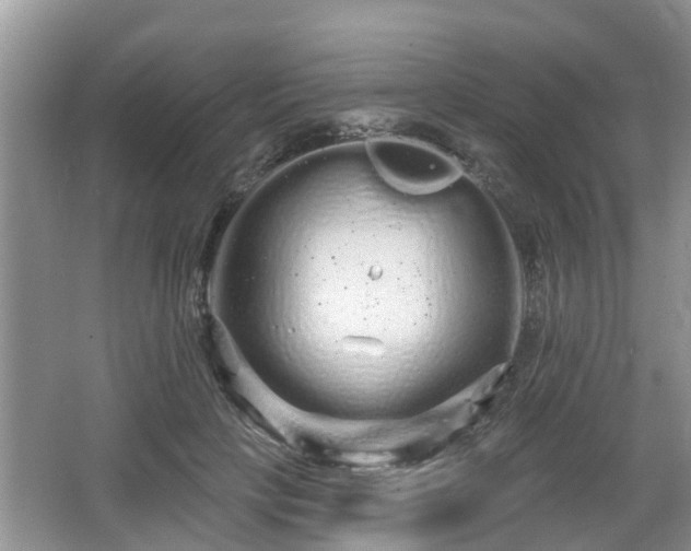 X0000064720649200602131225