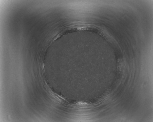 X0000064720650200602131225