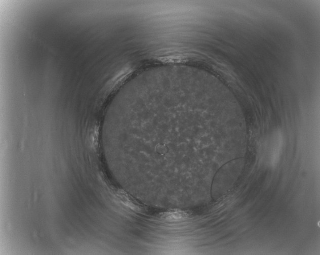 X0000064720652200602131225