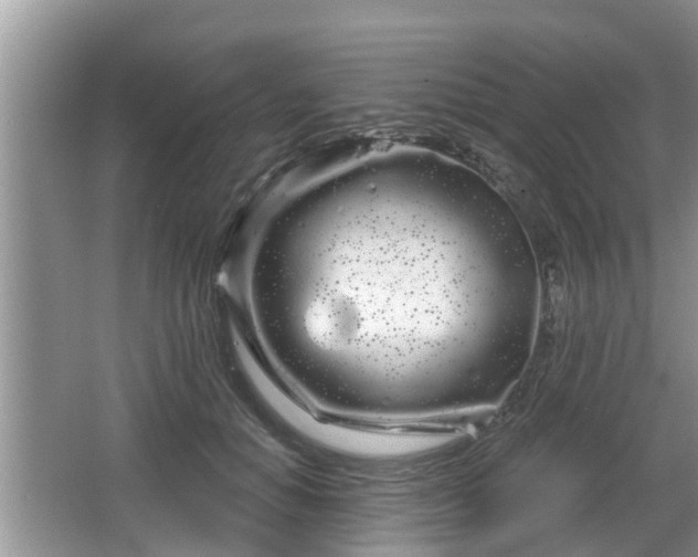 X0000064720654200602131225