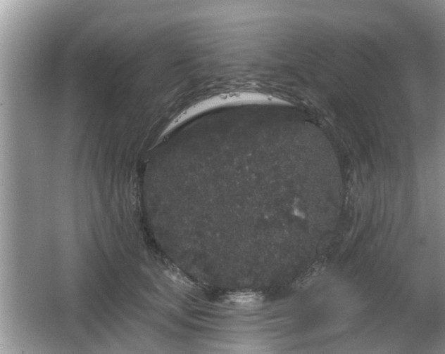 X0000064720659200602131226