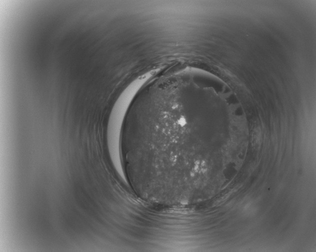 X0000064720661200602131226