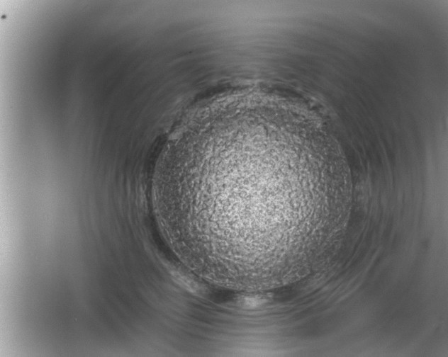 X0000064720662200602131226