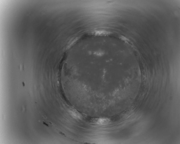 X0000064720663200602131226