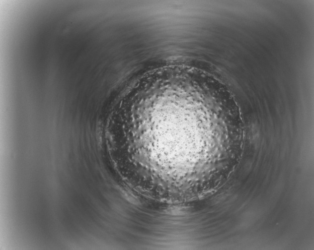 X0000064720664200602131226