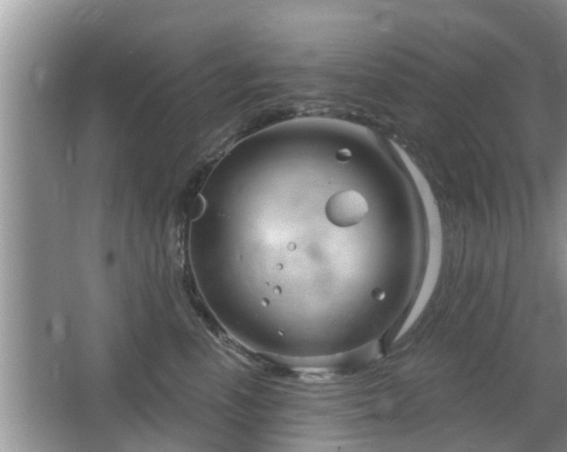 X0000064720666200602131226