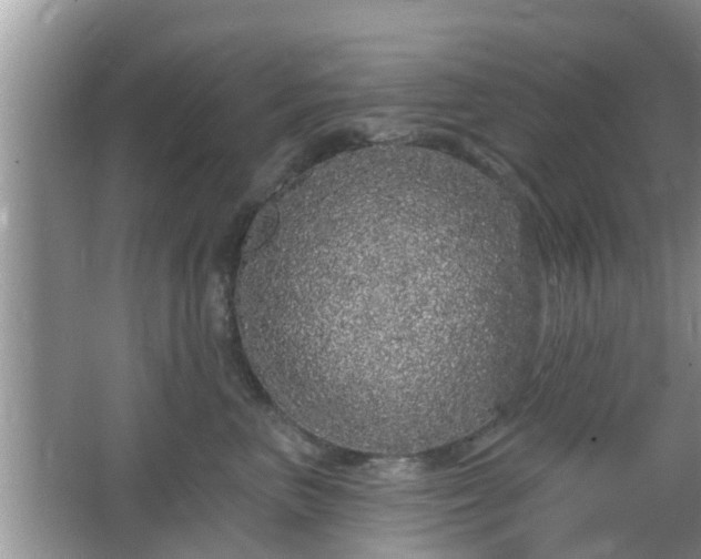 X0000064720667200602131226