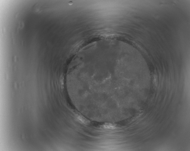 X0000064720668200602131226