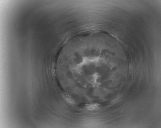 X0000064720671200602131226