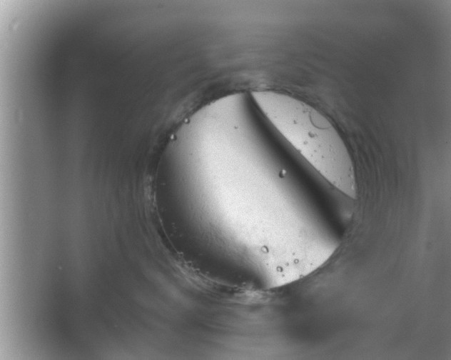 X0000064720672200602131226