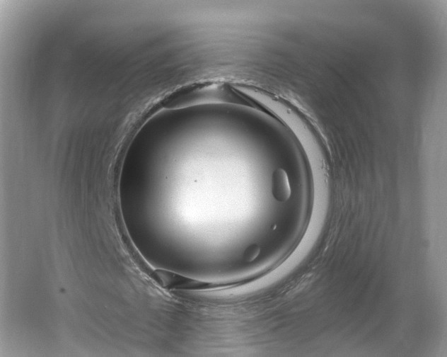 X0000064720673200602131225