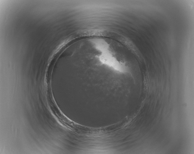 X0000064720674200602131225