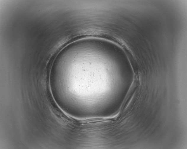 X0000064720675200602131225