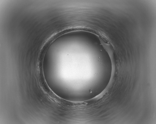 X0000064720676200602131225