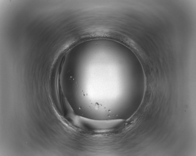 X0000064720677200602131225