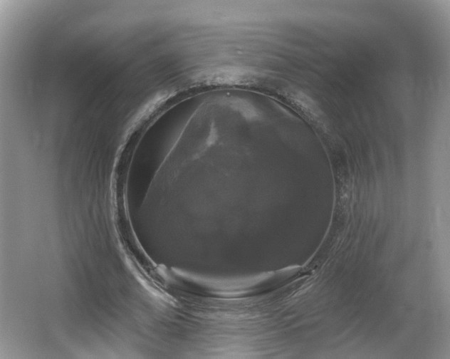 X0000064720678200602131225