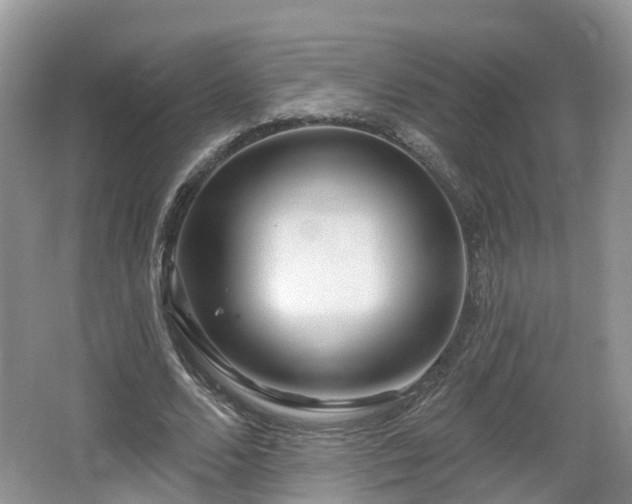 X0000064720680200602131225