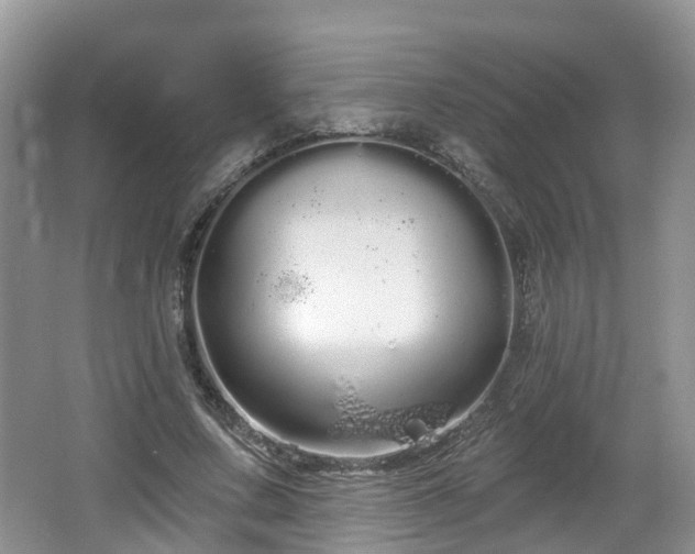 X0000064720683200602131225