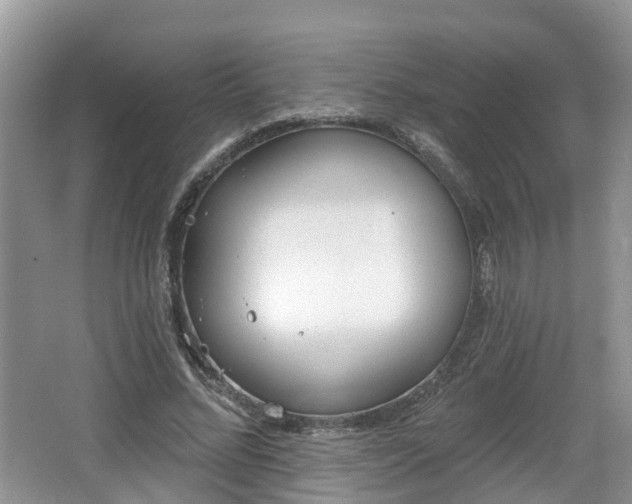 X0000064720684200602131225