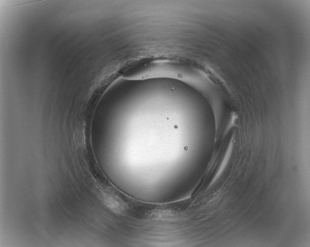 X0000064720685200602131225