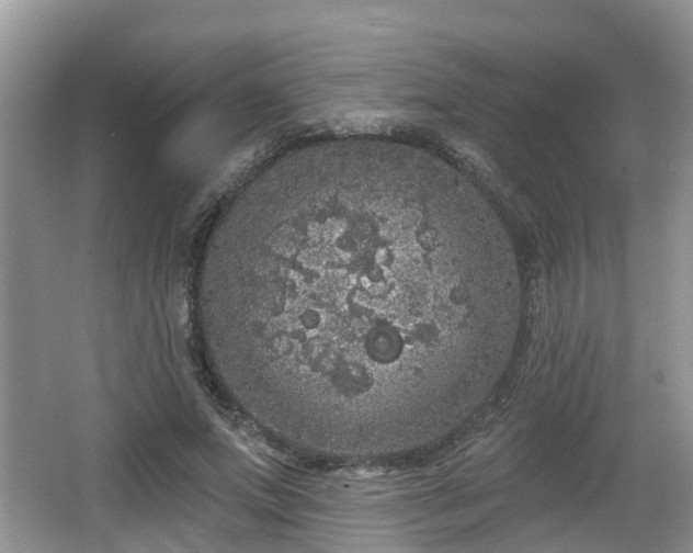 X0000064720687200602131225