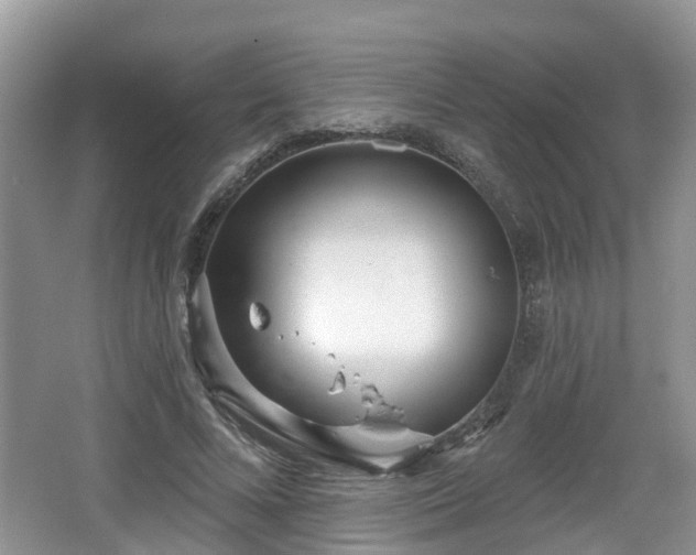 X0000064720688200602131225