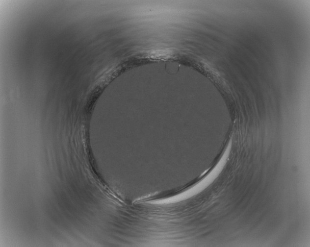 X0000064720689200602131225