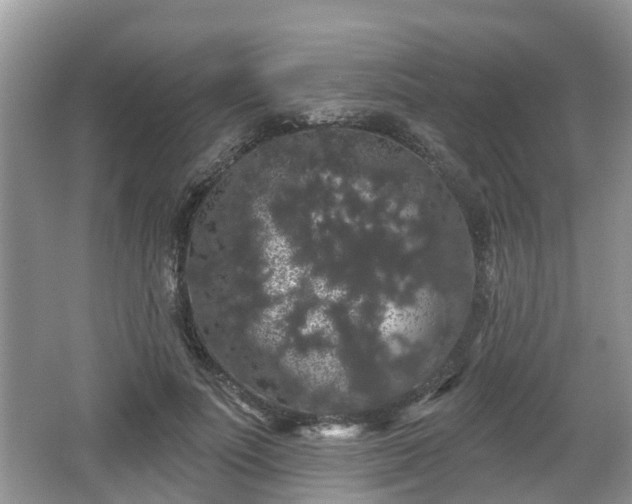 X0000064720691200602131225