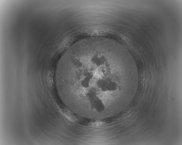 X0000064720695200602131225