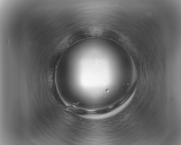 X0000064720697200602131225