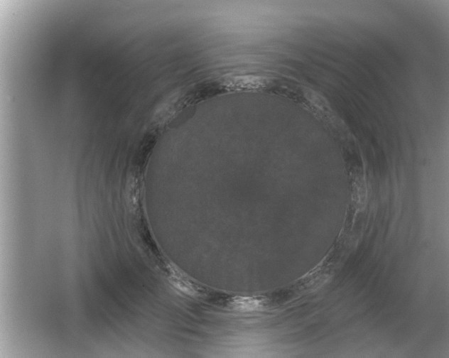 X0000064720701200602131224