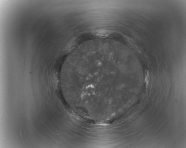 X0000064720707200602131224