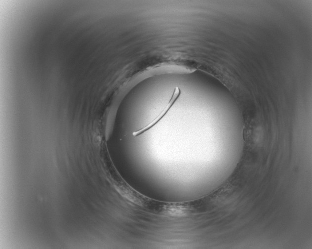 X0000064720710200602131224