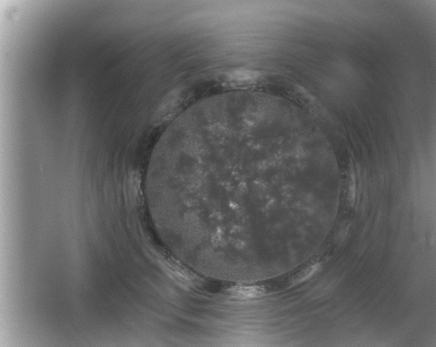 X0000064720711200602131224