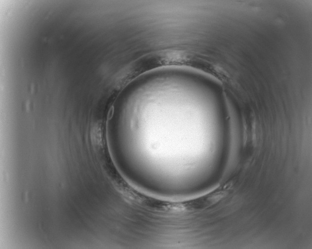 X0000064720715200602131224