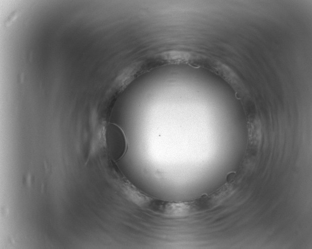 X0000064720717200602131224