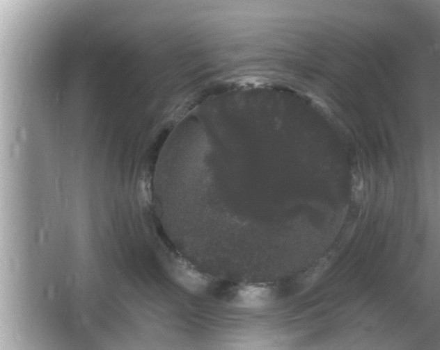 X0000064720718200602131224