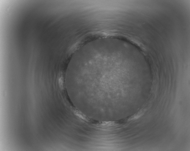 X0000064720720200602131224