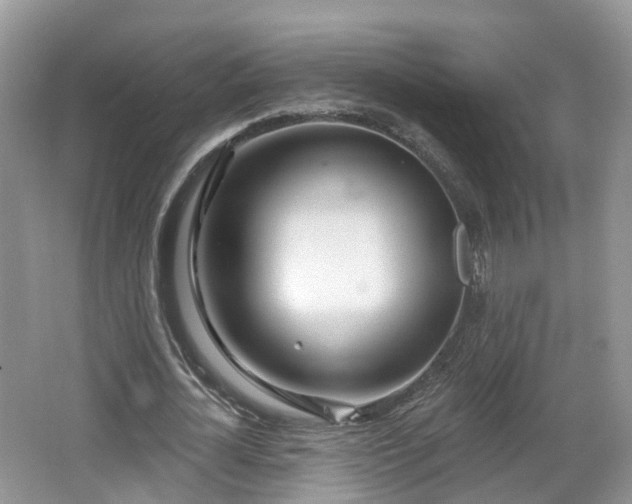 X0000064720724200602131223