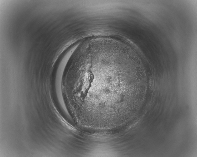 X0000064720725200602131223