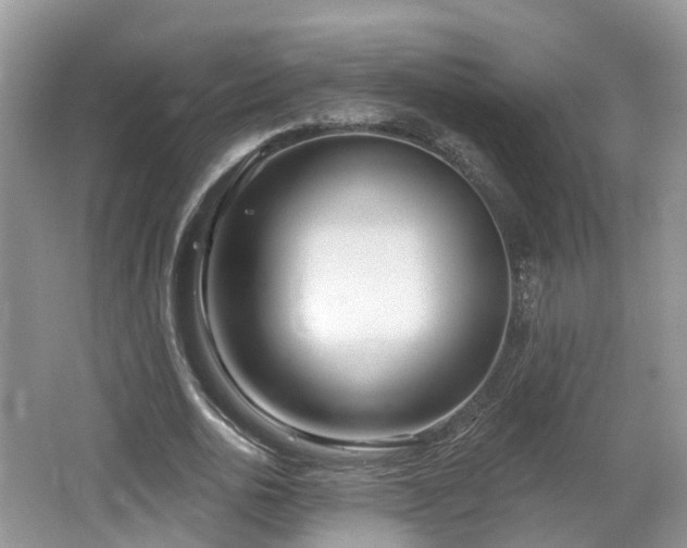 X0000064720726200602131223