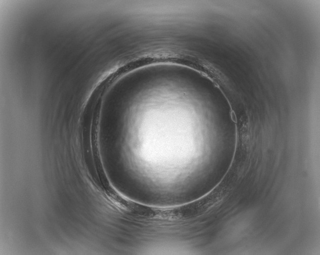 X0000064720727200602131223