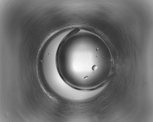 X0000064720728200602131223