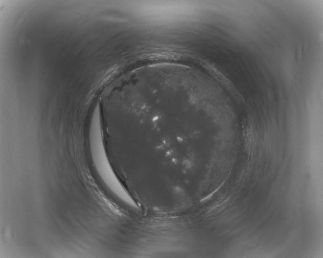 X0000064720729200602131223